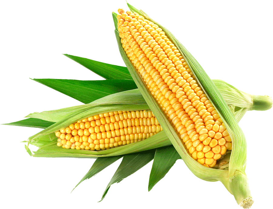 corn